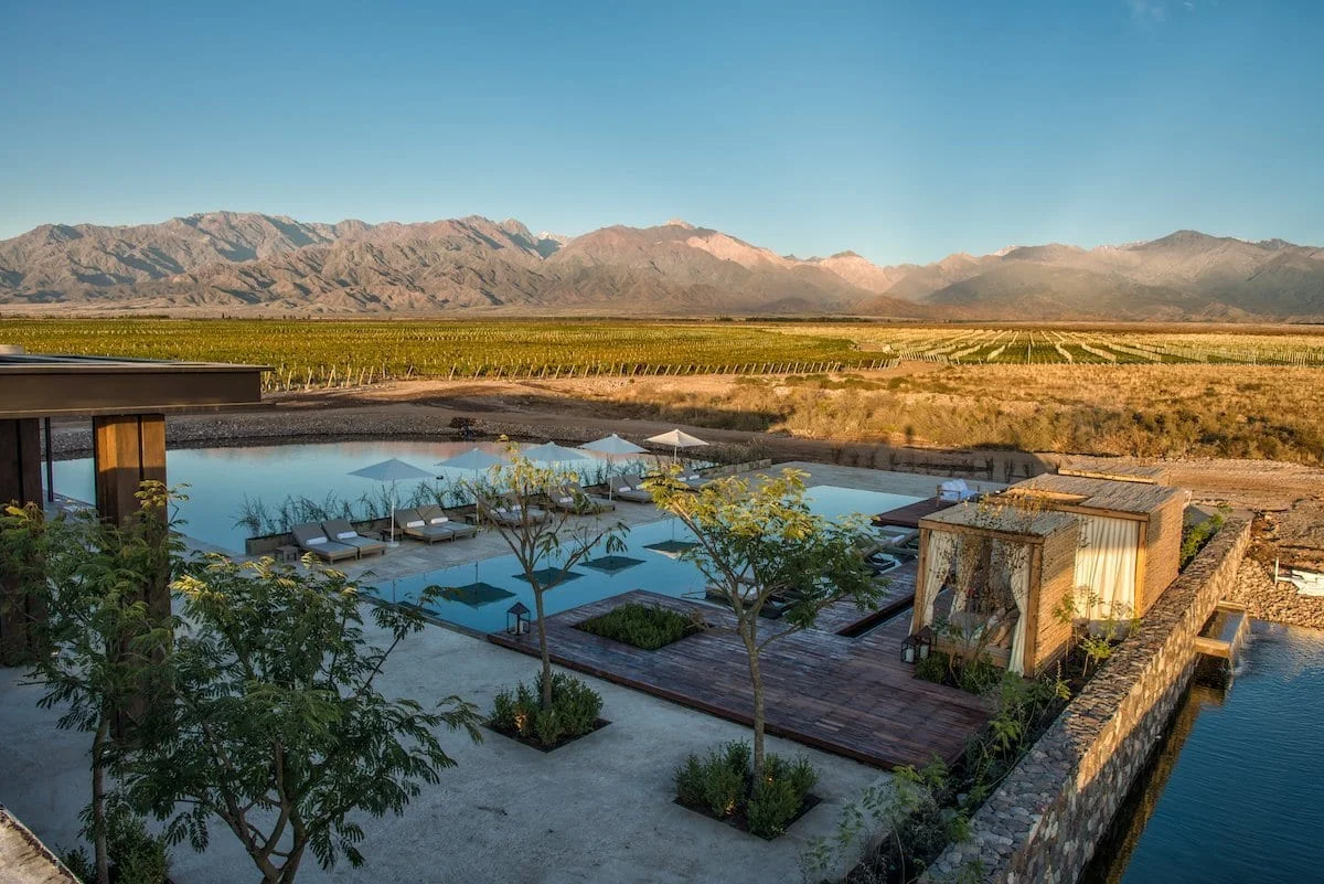 The Vines Of Mendoza