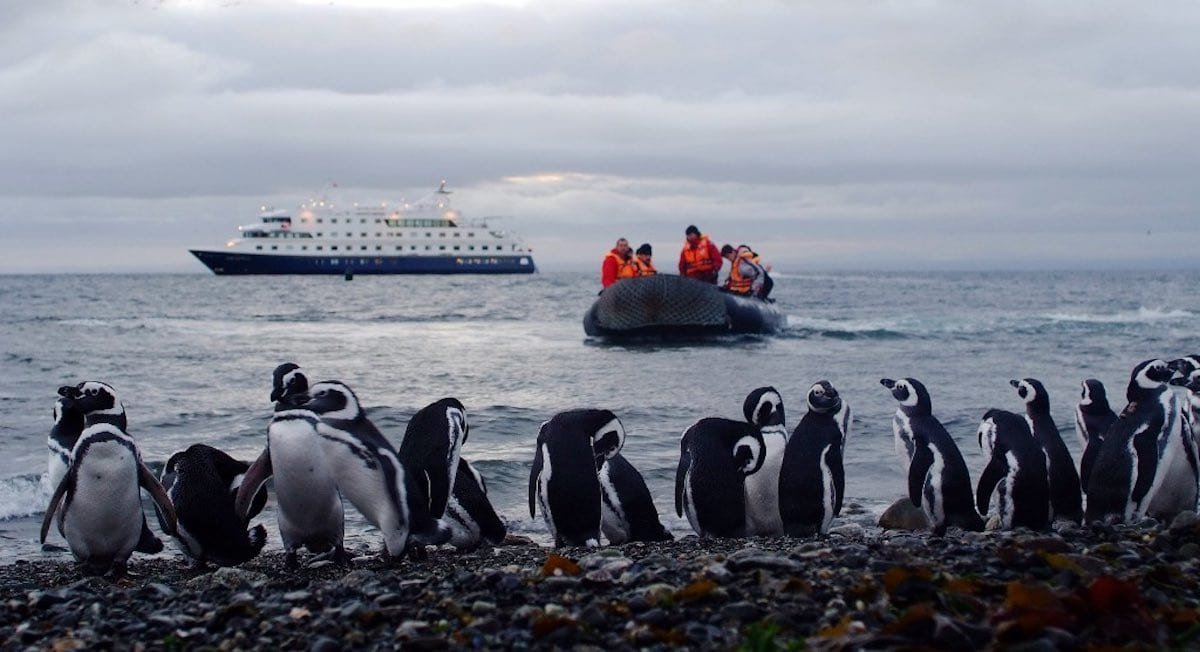 disembark-isla-magdalena-Australis-Tours The Magdalena Island is home Magellan penguins surrounded by blue ocean water.