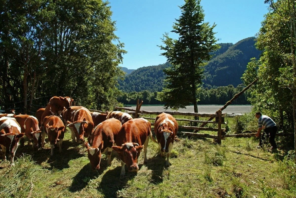 Melimoyu lodge's property