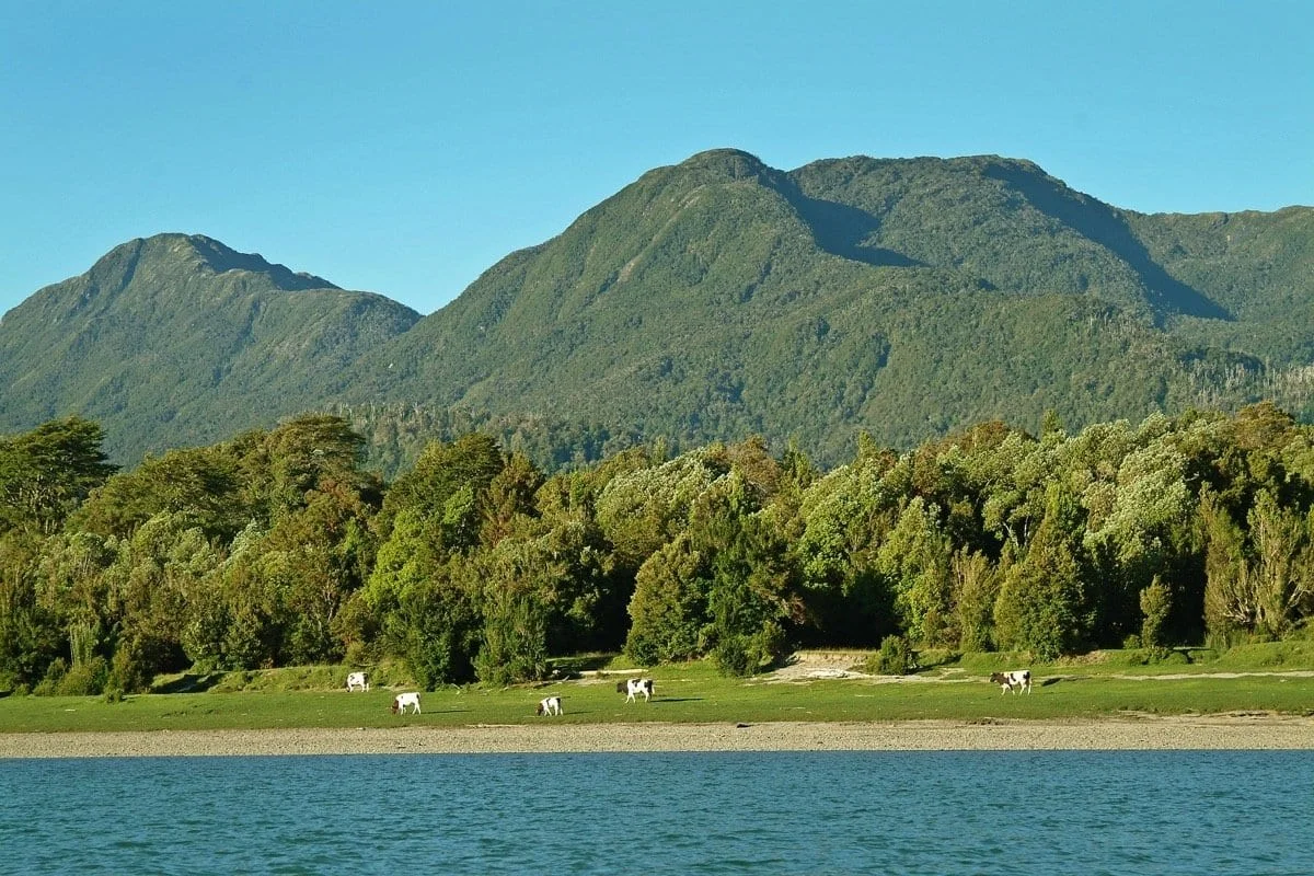Melimoyu lodge's property