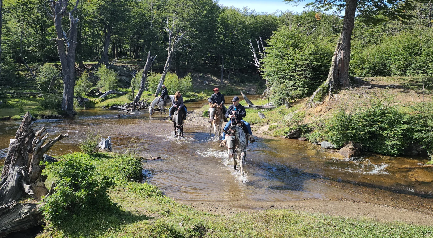 Horseback riding