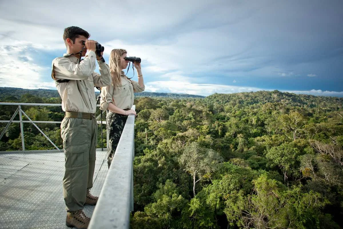 Canopy tower