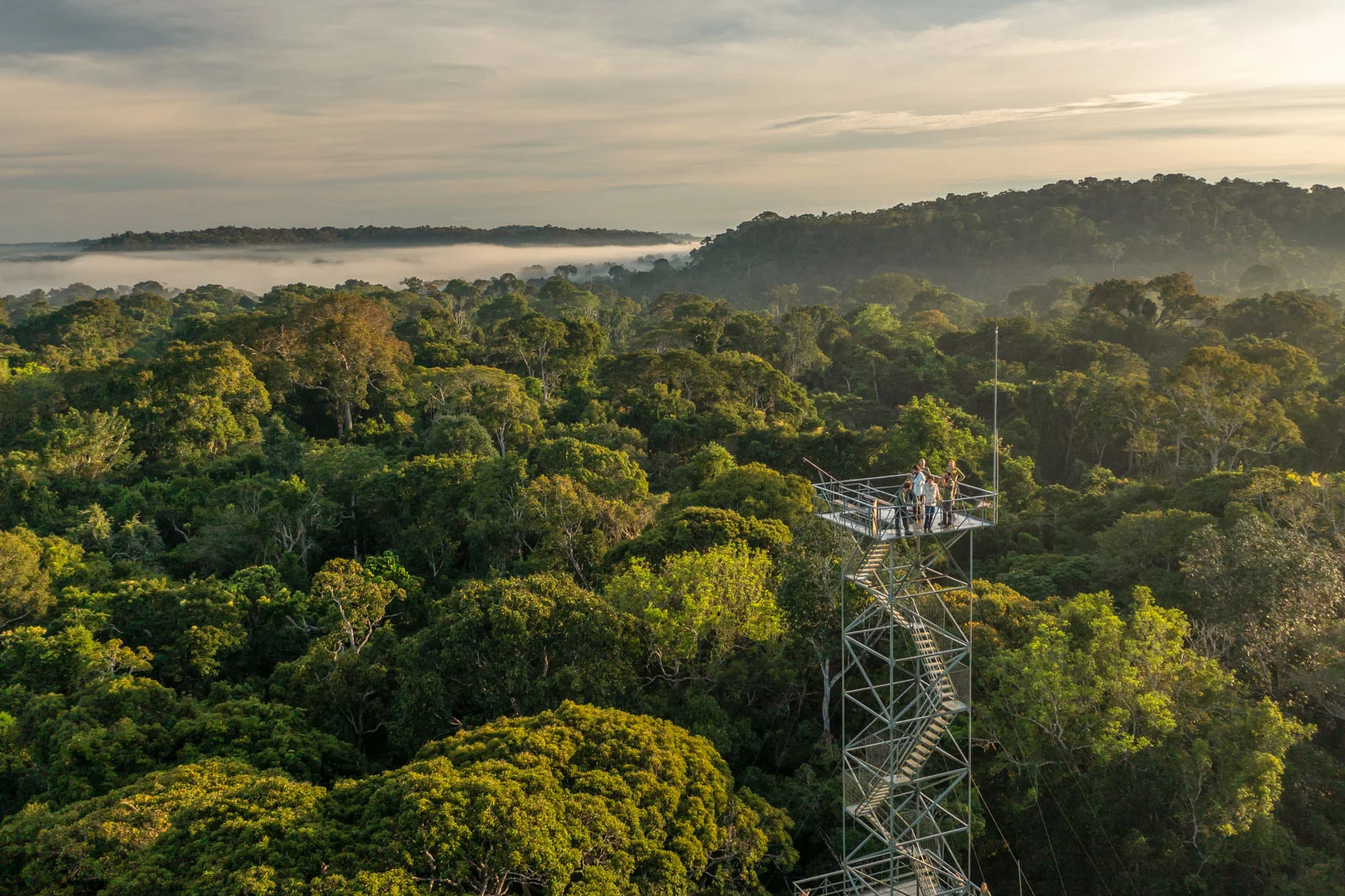 Canopy Tower