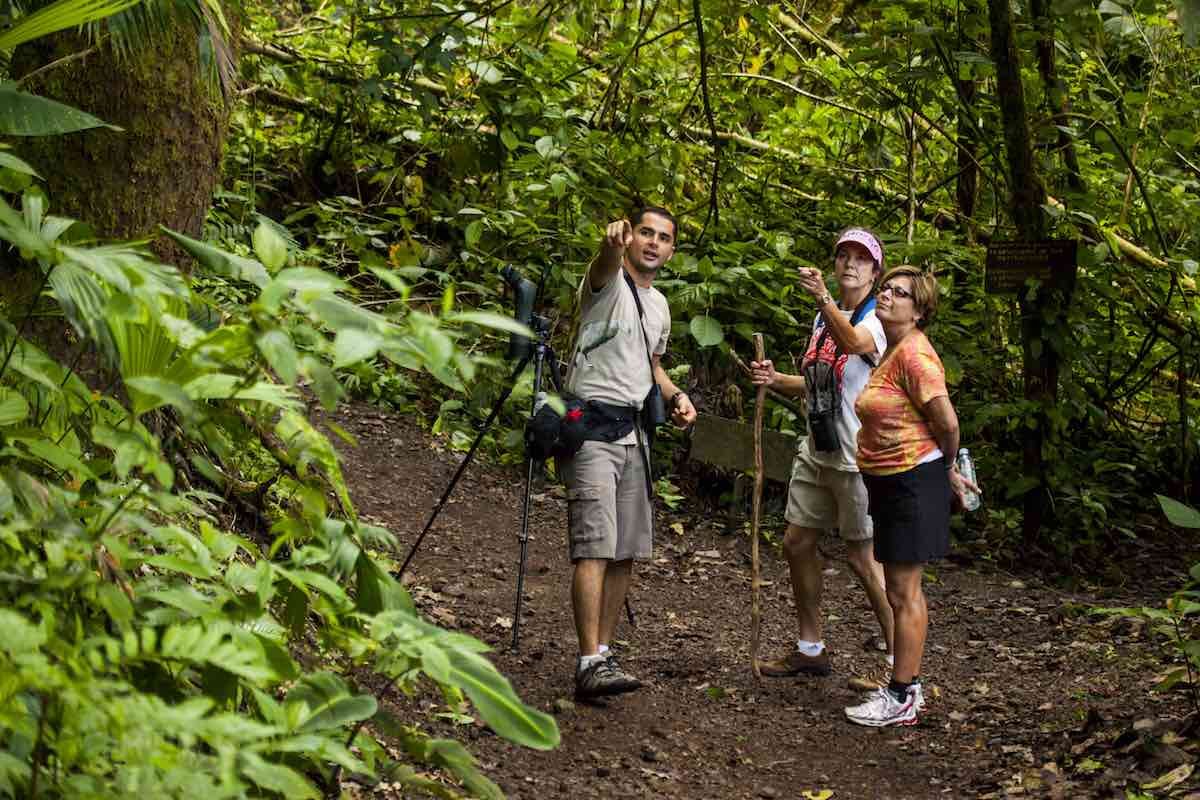 Hotel-Arenas-del-mar-hiking A man leads a couple on a hike through a rainforest trail.