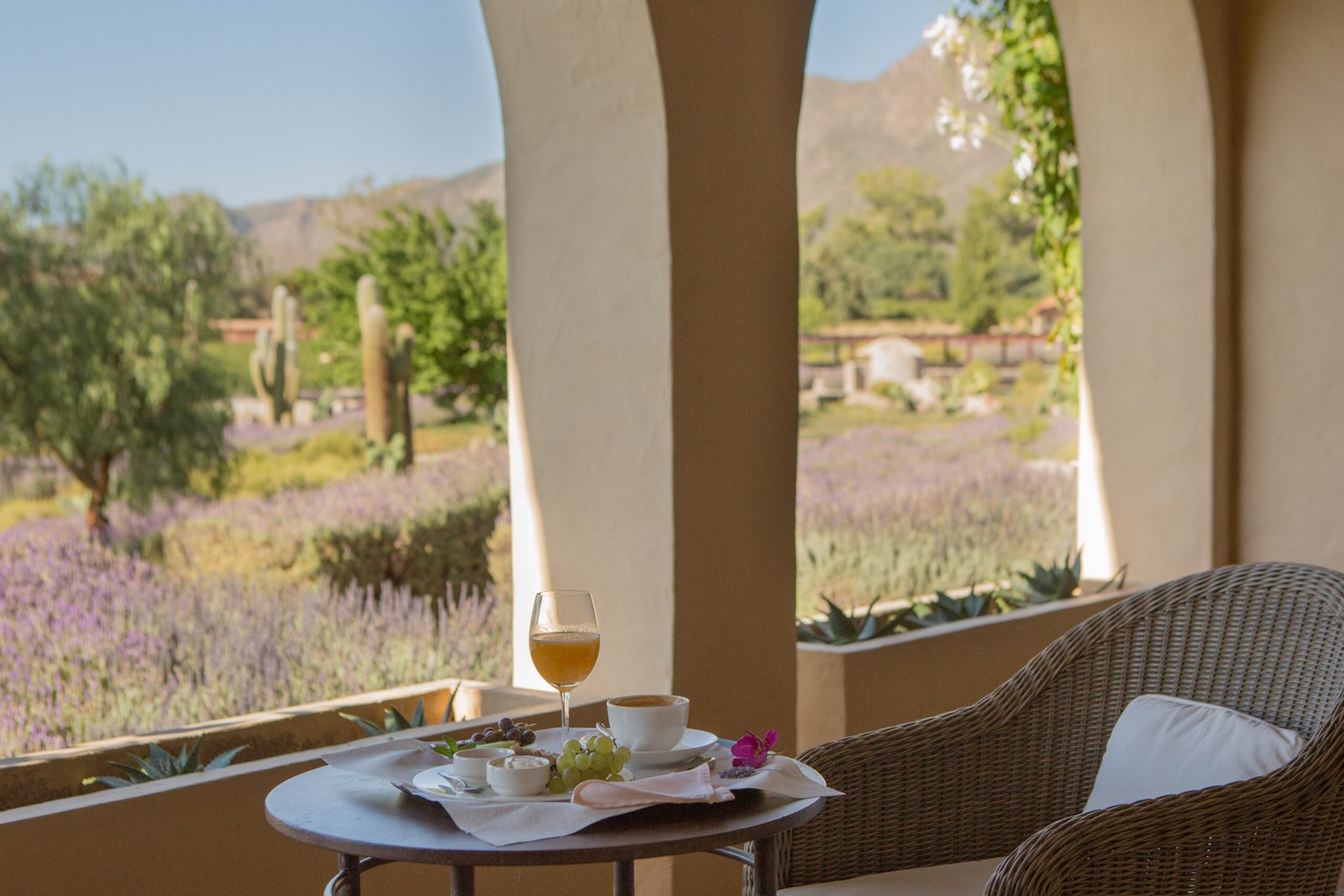 Estancia Colome