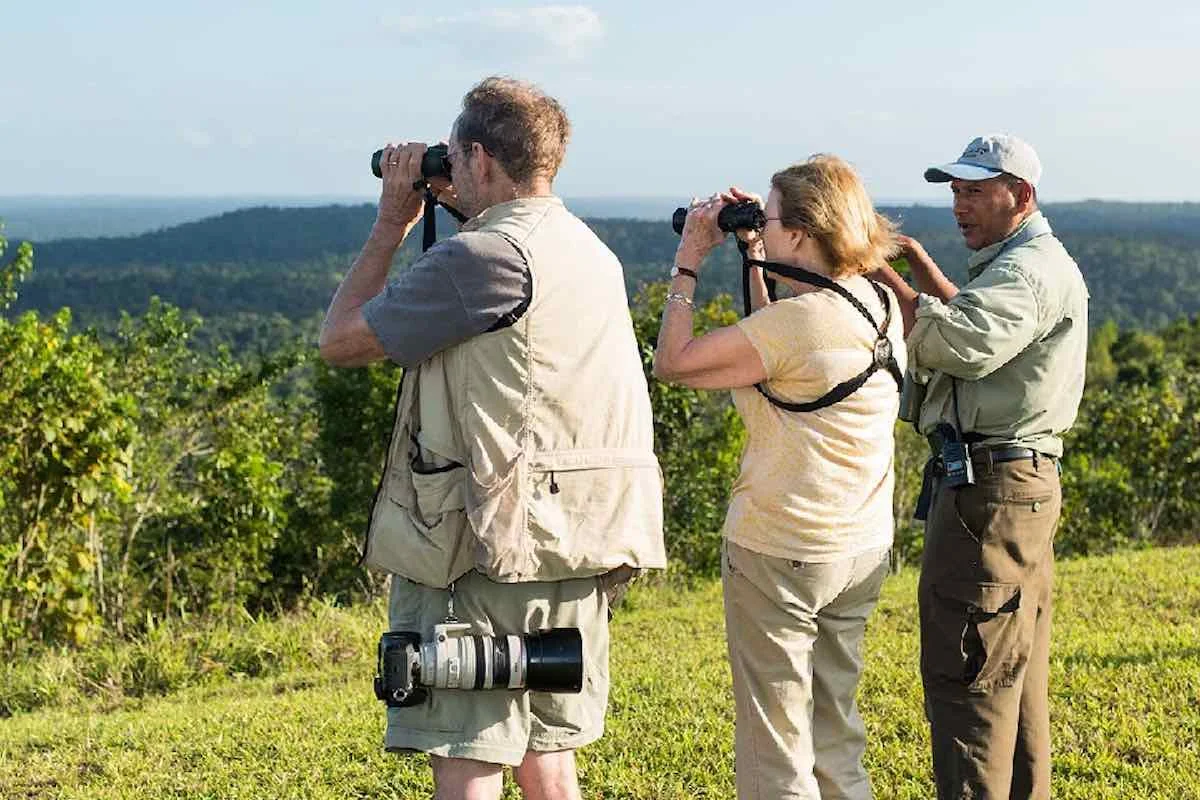 Activities - Bird watching