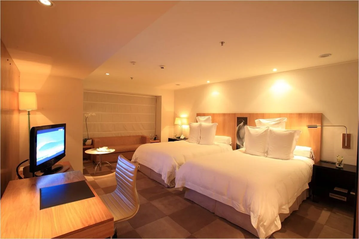 Deluxe Suite - Twin