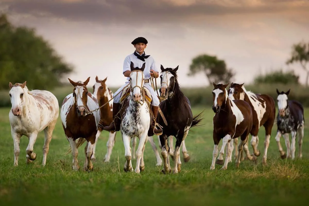 El Colibri Horseback riding