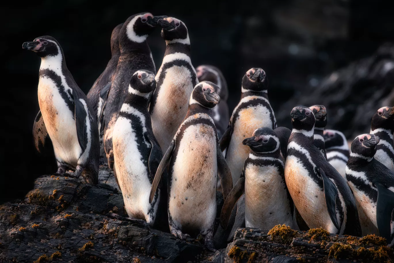 Mari Mari Natural Reserve