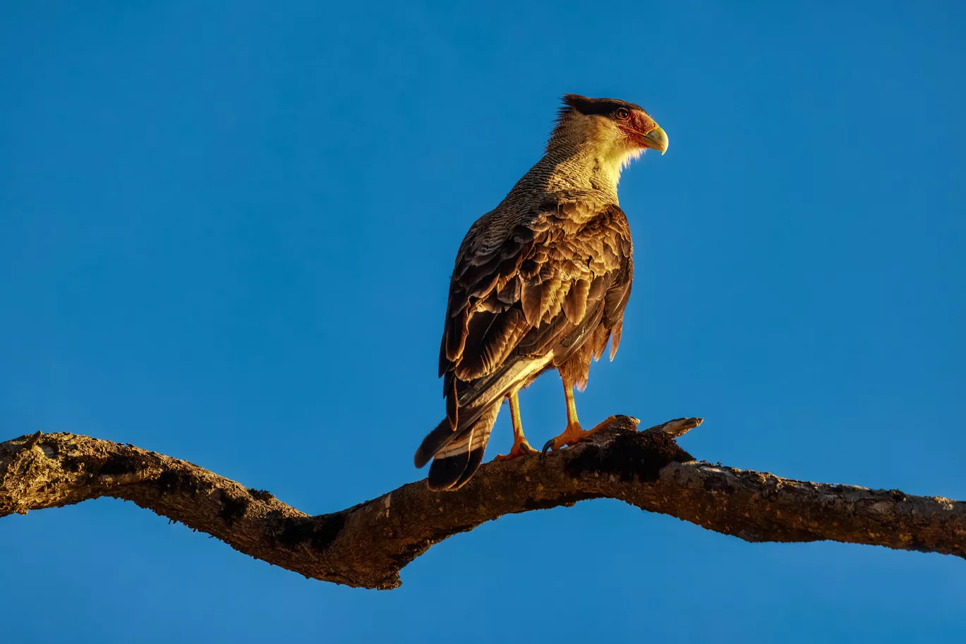 Mari Mari Natural Reserve