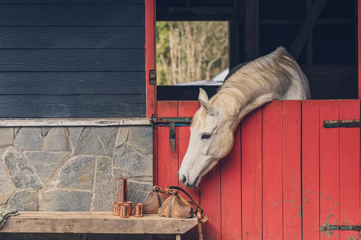 Mari Mari Natural Reserve