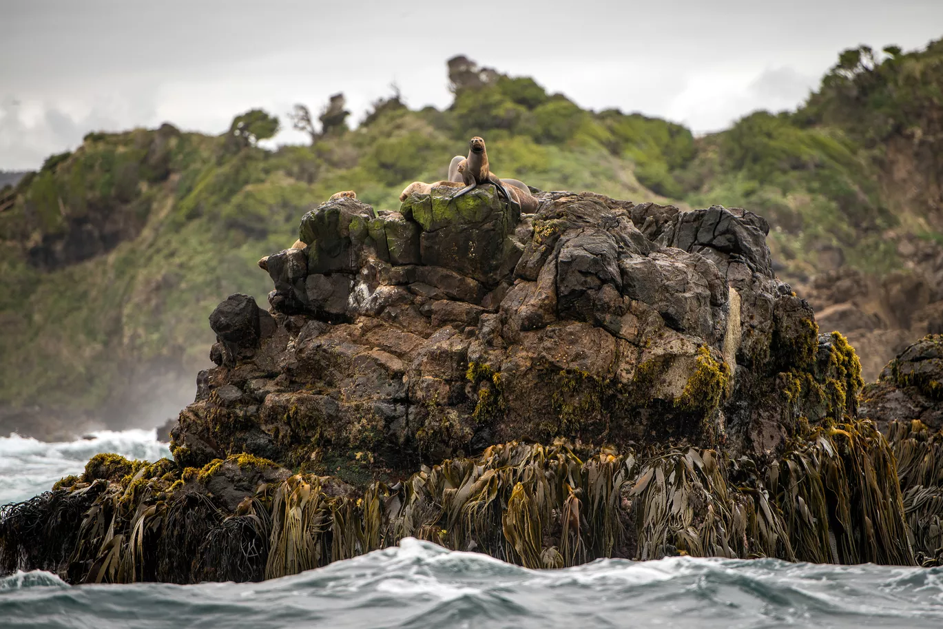 Mari Mari Natural Reserve