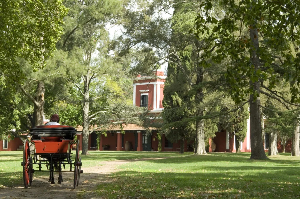 La Bamba de Areco Arrival Carriage Towards_Main_House
