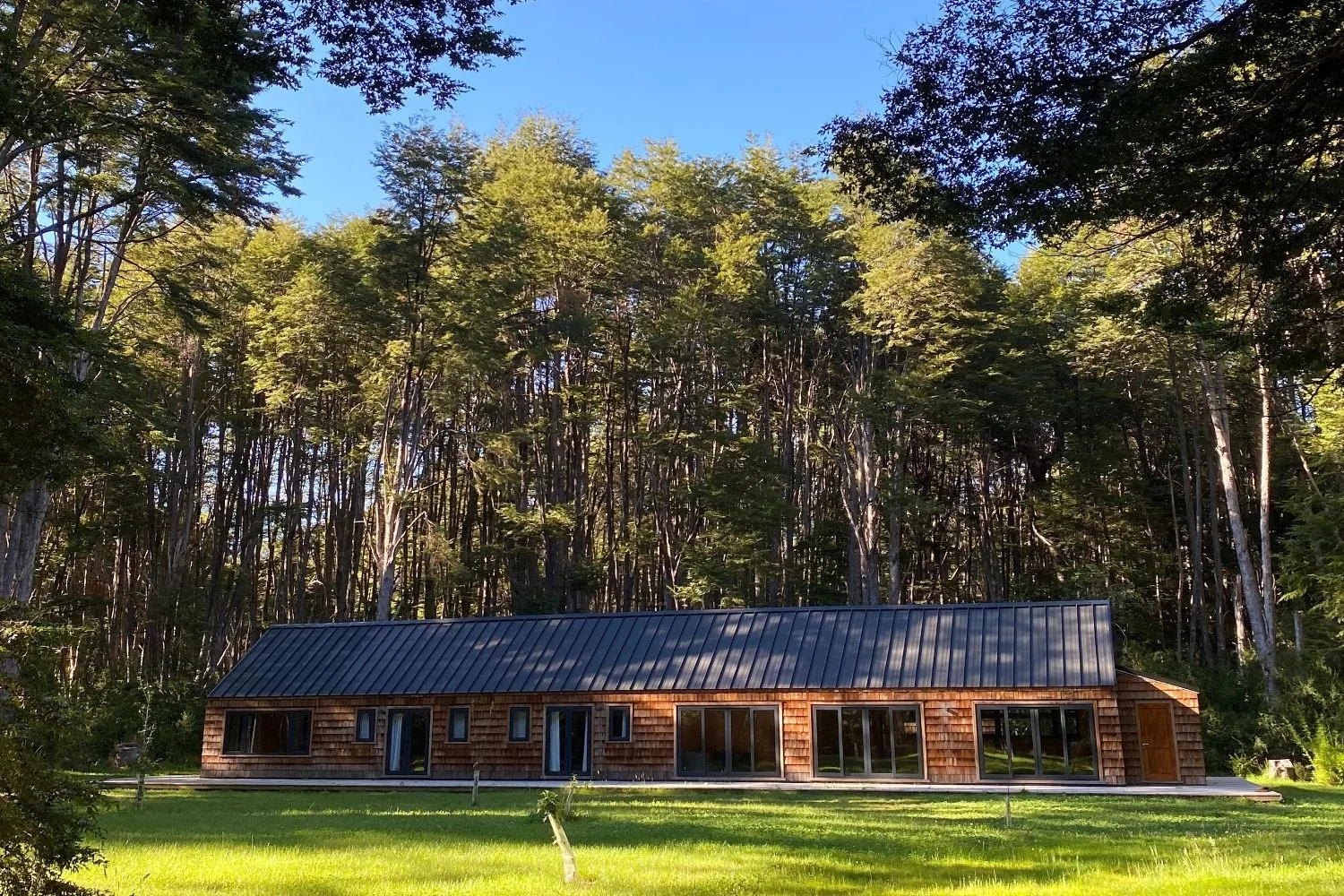 Pata Lodge - Casa del Bosque