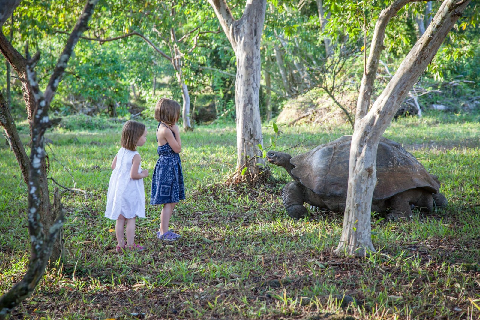 family trip galapagos islands