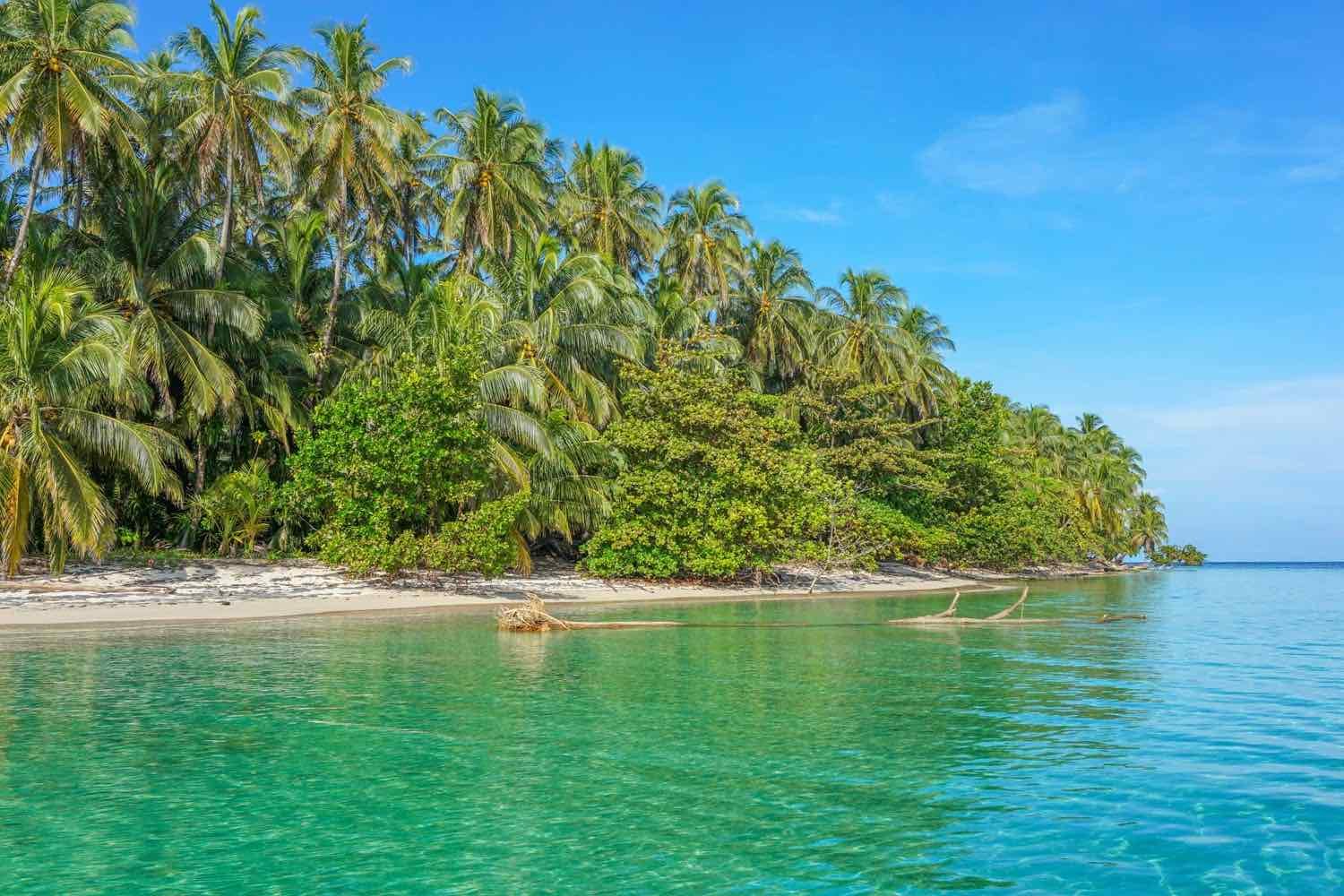 08Landed-Travel-Private-Travel-Beach-Palms-Bastimentos-Bocas-del-Toro-Panama-1