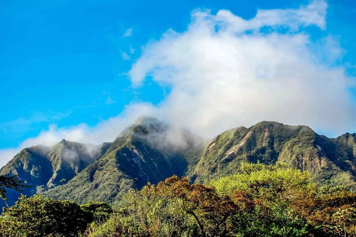 Boquete Panama | Landed Travel