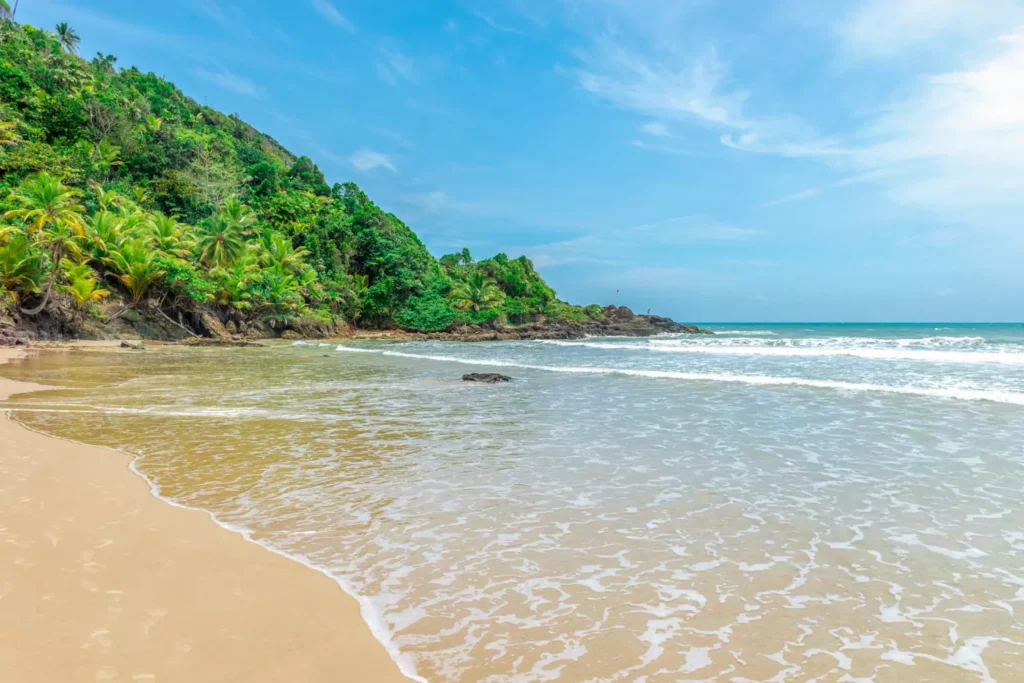 Itacare Brazil | Landed Travel