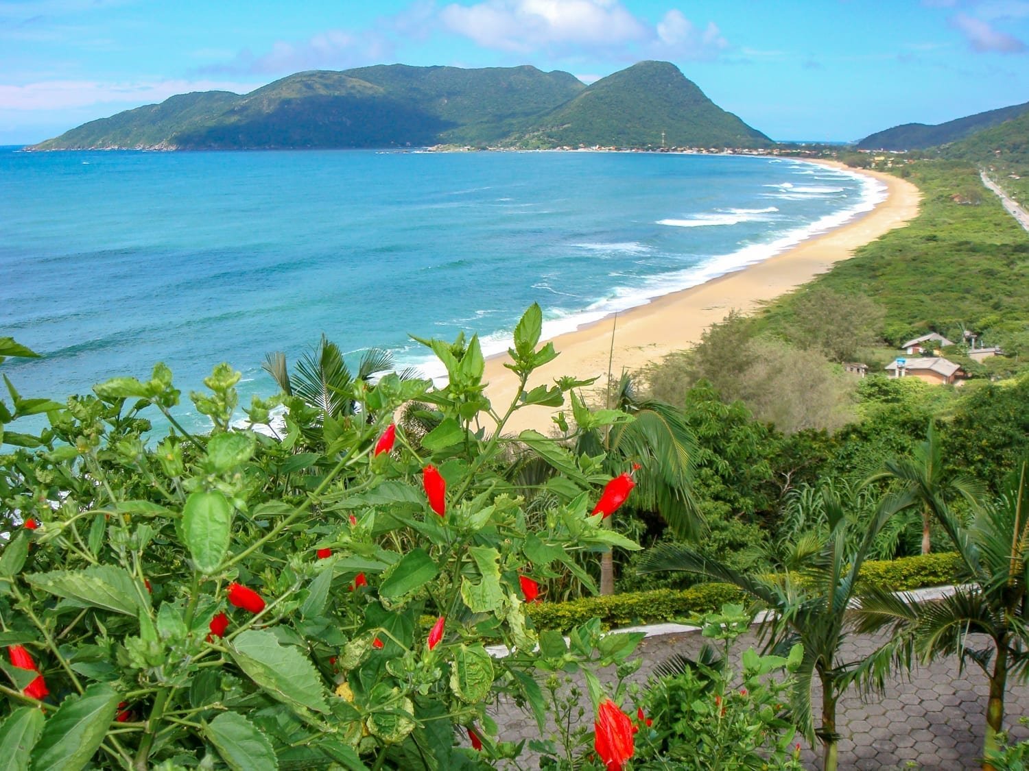 Florianópolis Armacoa