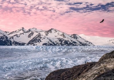 Chile Travel Grey Glacier | Landed Travel