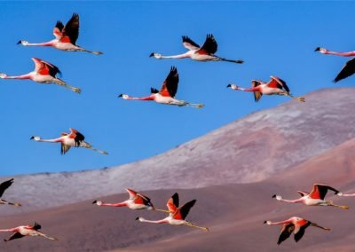 Laguna Santa Rosa | Landed Travel