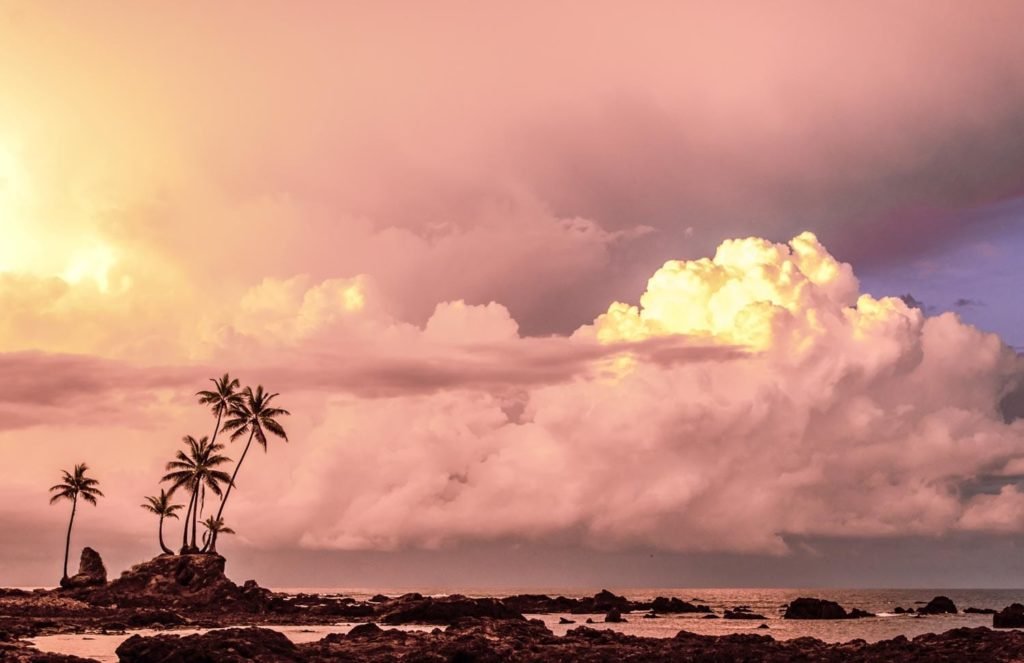 Osa Peninsula & Corcovado - Luxury Travel in Costa Rica by LANDED Travel