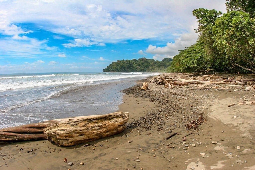 Visit Dominical & Uvita: Whales and Surf in Costa Rica | LANDED Travel