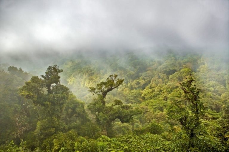 Golfito clouds Costa Rica | Landed Travel