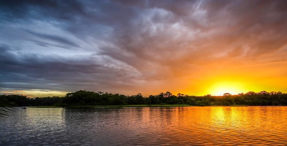 Visit Tortuguero National Park: Luxury Travel to Costa Rica | LANDED Travel