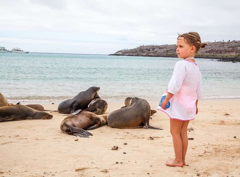 Ecuador Sante Fe Island Sea Lions