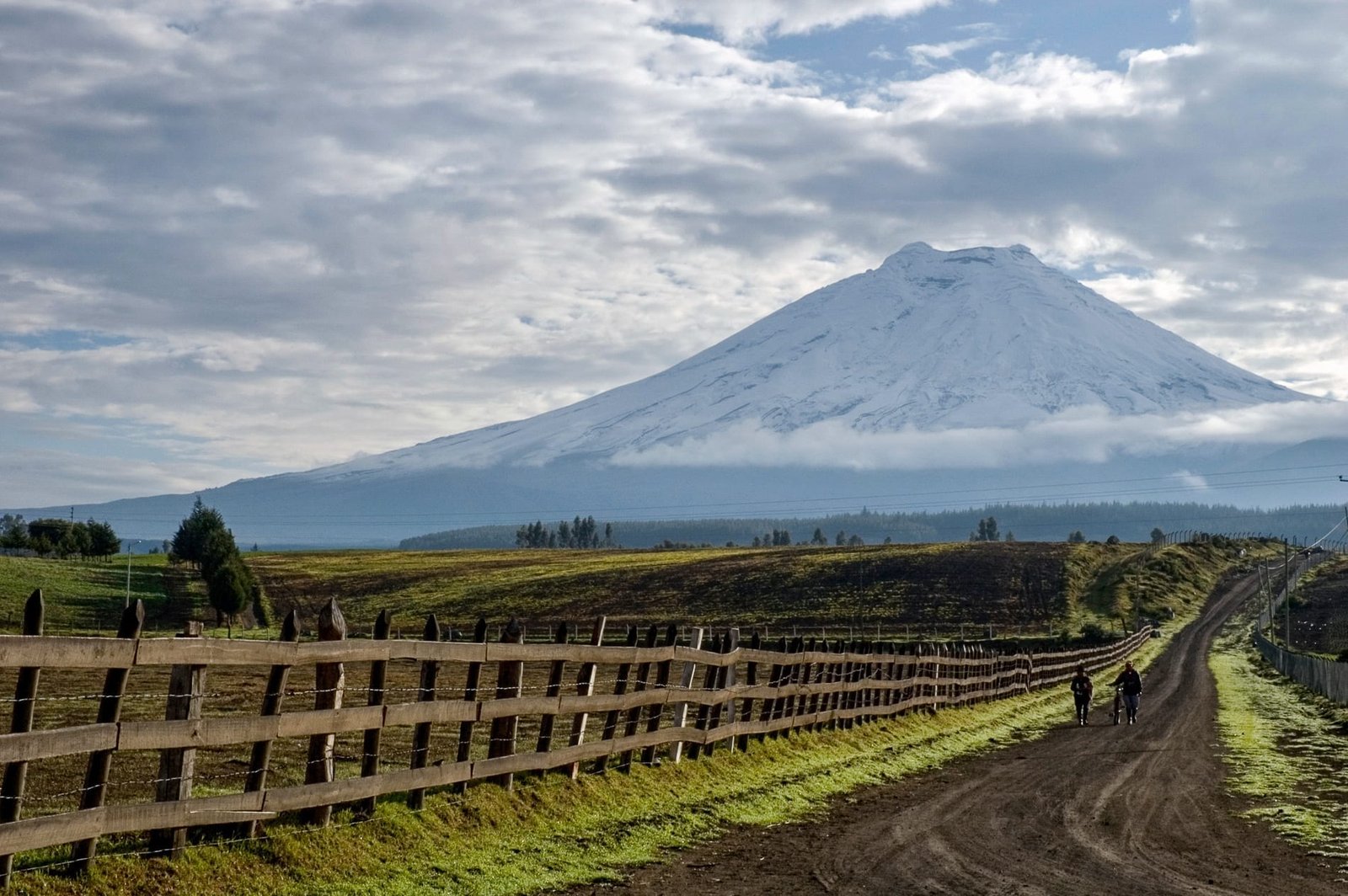 Ecuador-Travel-Cotopaxi-Road-Fence-DT