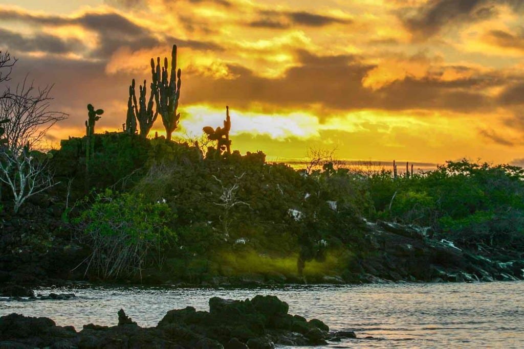 Galapagos Santa Cruz Sunset