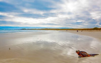 Private Tours of the Galapagos