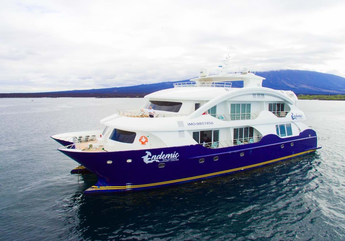 Endemic Catamaran exterior