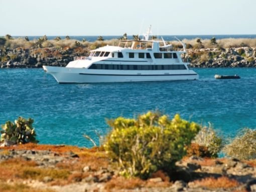 Integrity Yacht Galapagos | Landed Travel