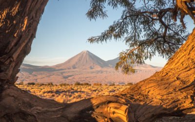 Atacama Family Travel Album