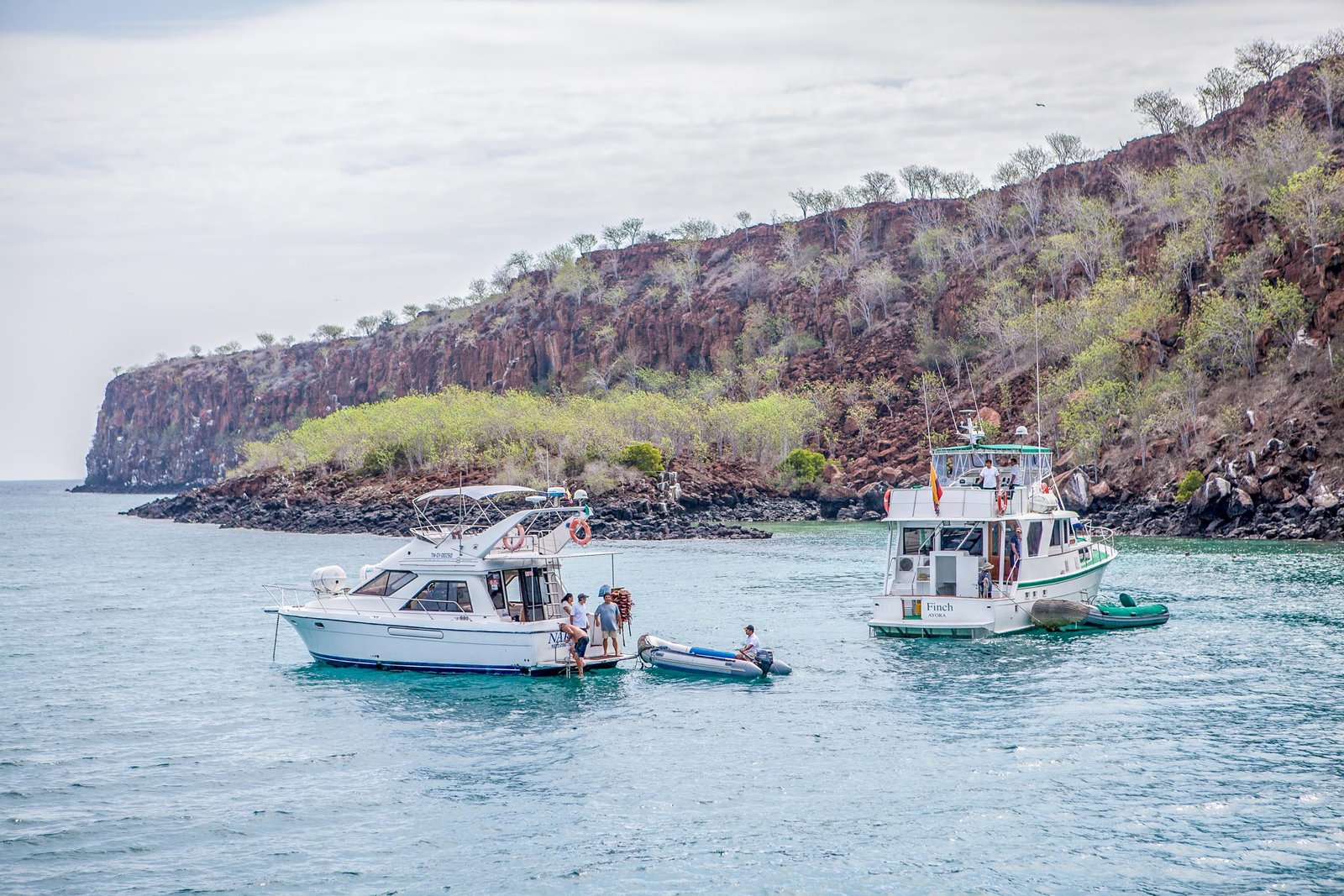 Galapagos Safari Camp activities