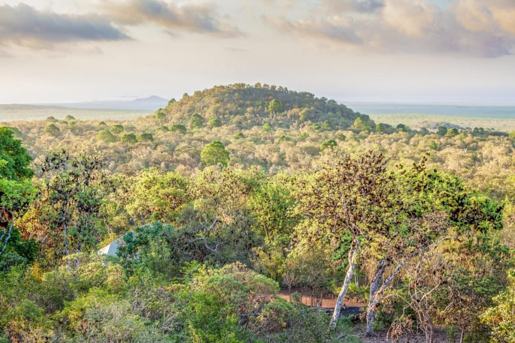 Galapagos Safari Camp
