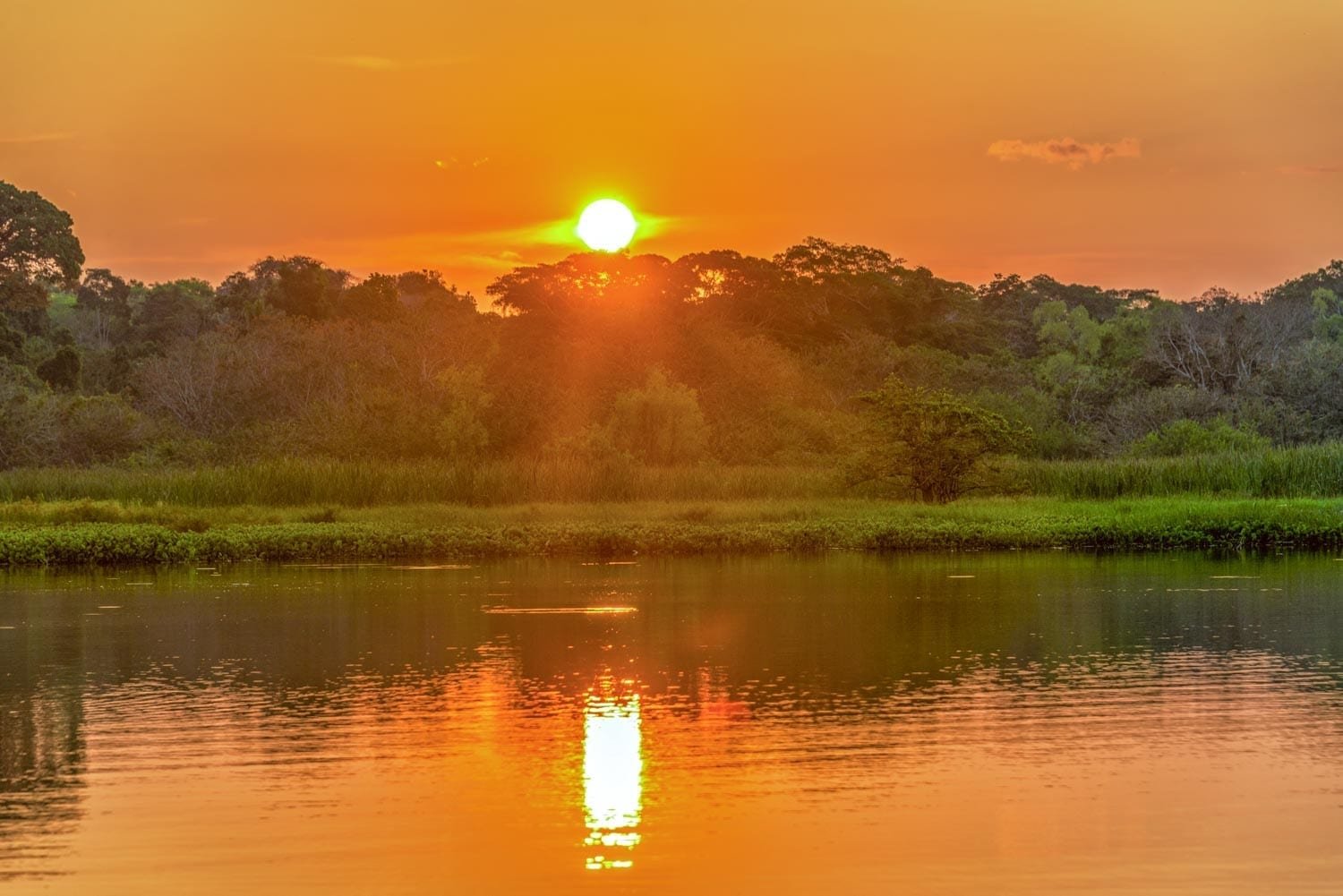 Landed-Travel-Private-Travel-Sunset-River-Madidi-Bolivia