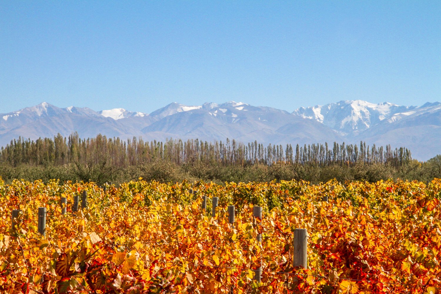 visit-mendoza-luxury-travel-to-wine-capital-of-argentina-landed-travel