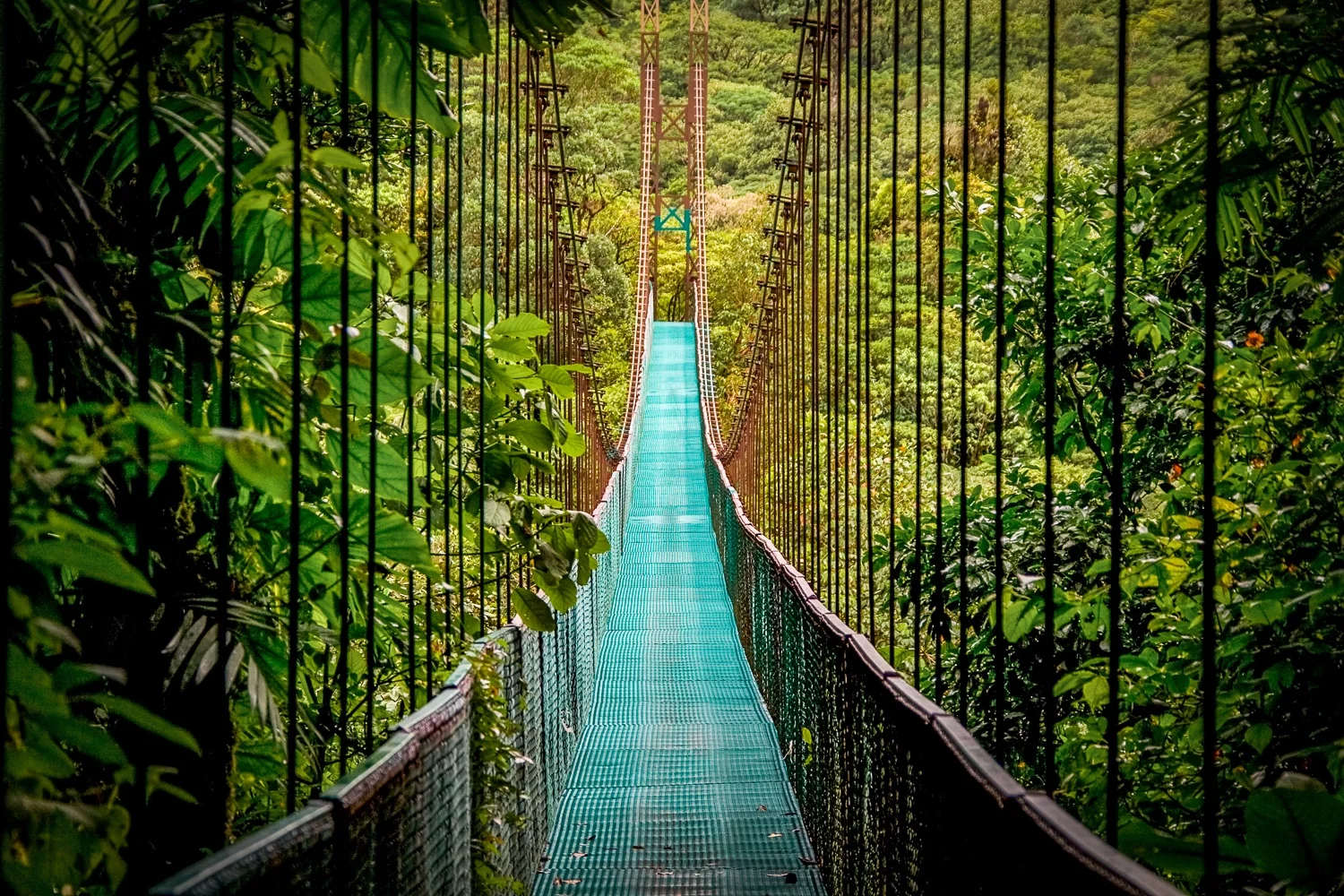 Monteverde Cloud Forest - Travel to Costa Rica | LANDED Travel