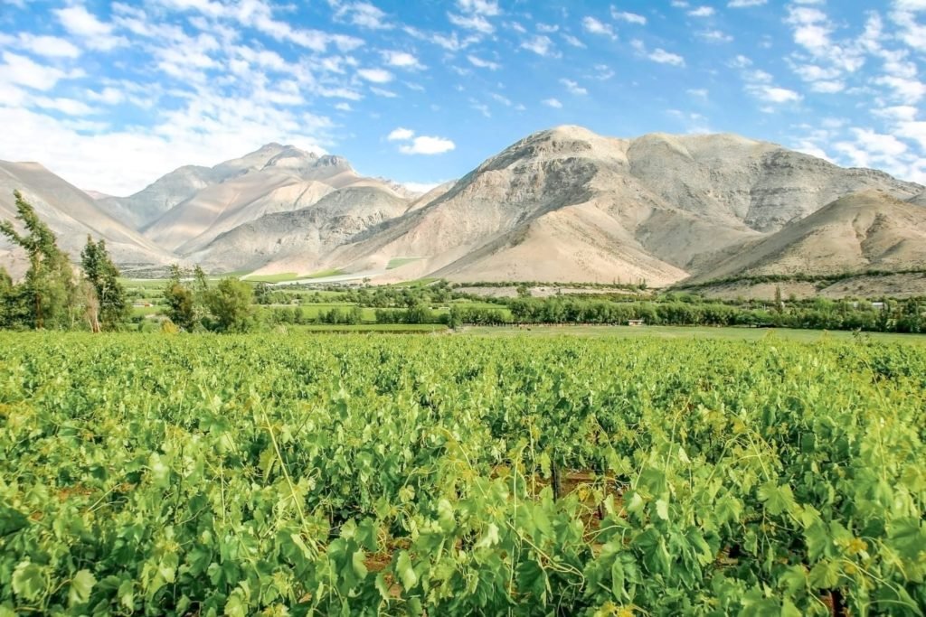 Norte Chico Elqui Valley Chile | Landed Travel