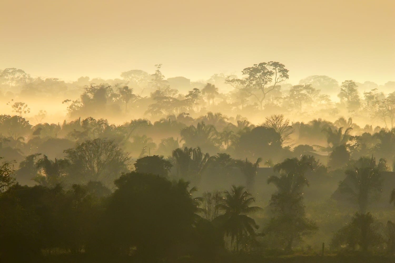 Peru's Amazon Basin