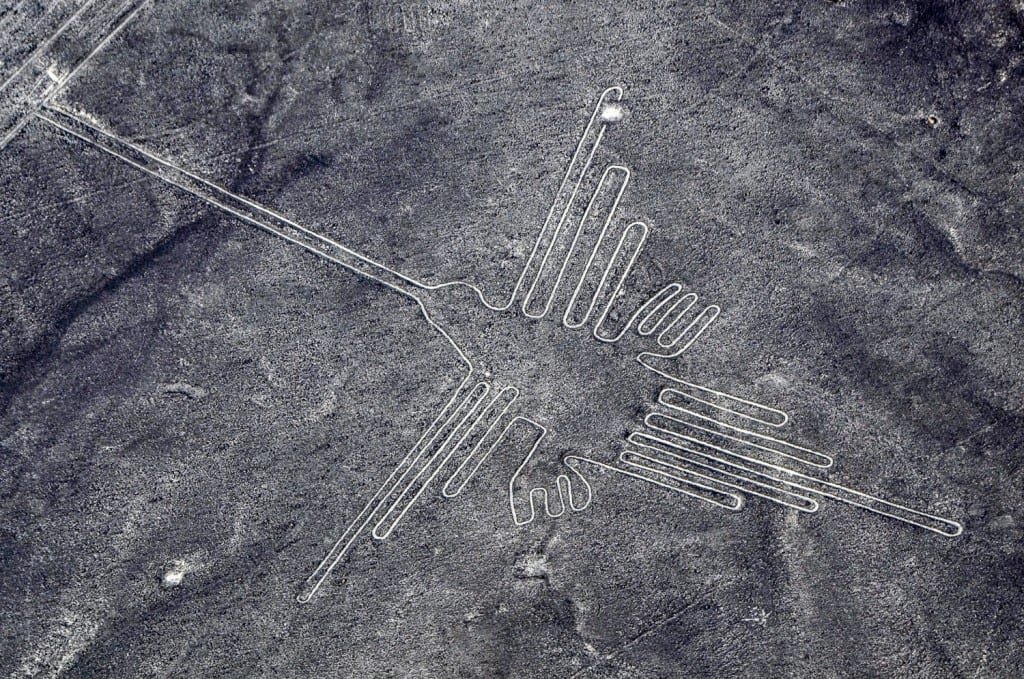 Peru Nazca Flight Hummingbird