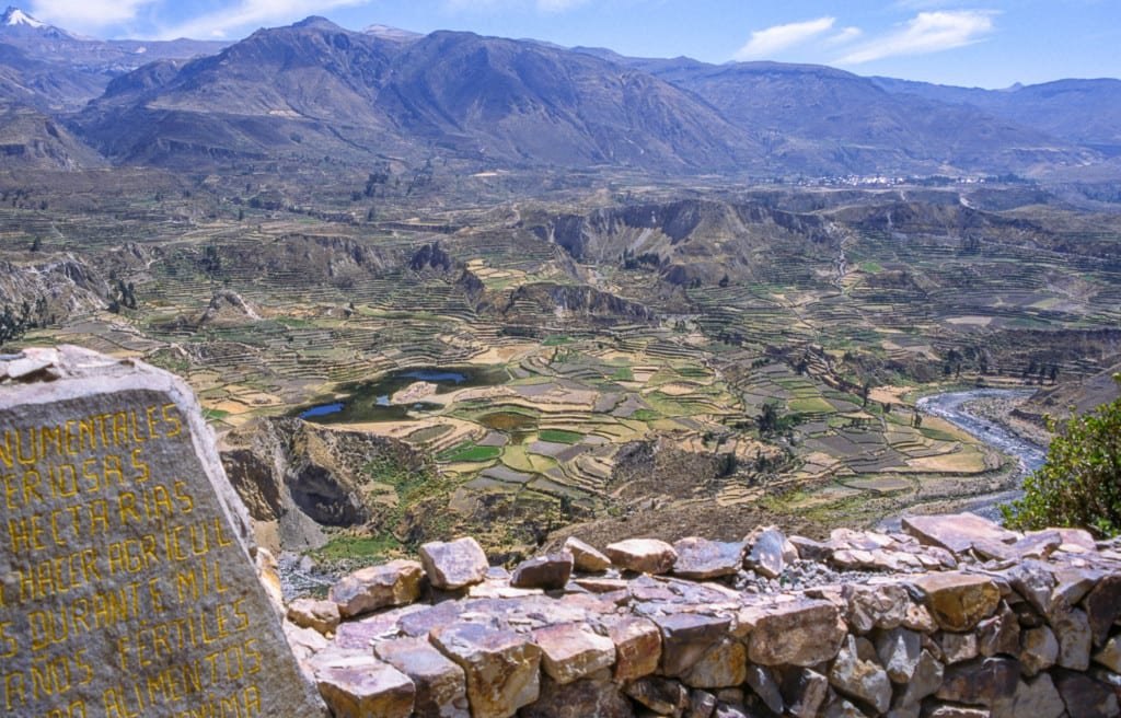 Colca Peru