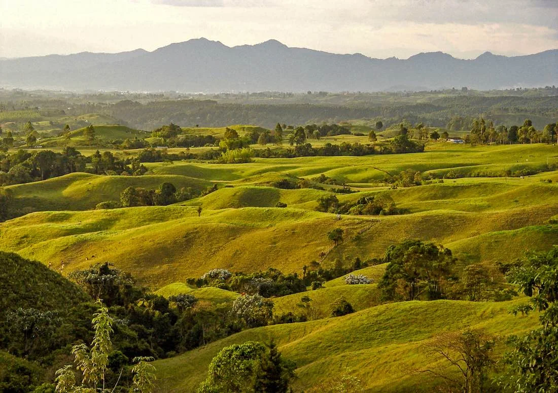 Colombia's Coffee Triangle: Pereira, Manizales And Armenia