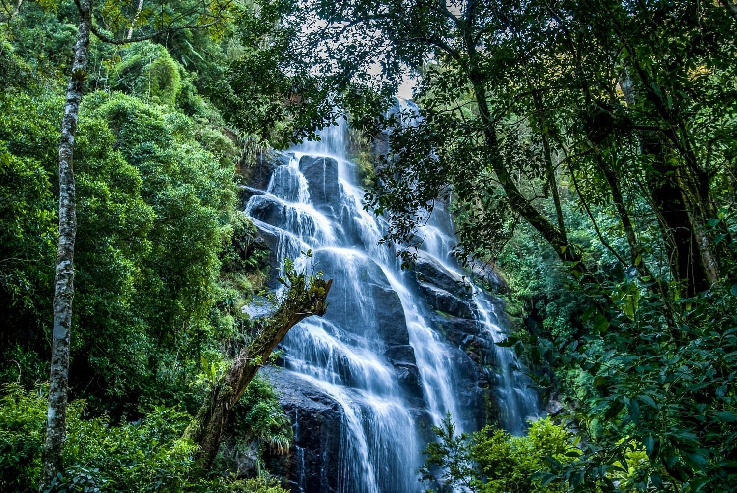 Brazil Itatiaia National Park Veu do Noiva Falls