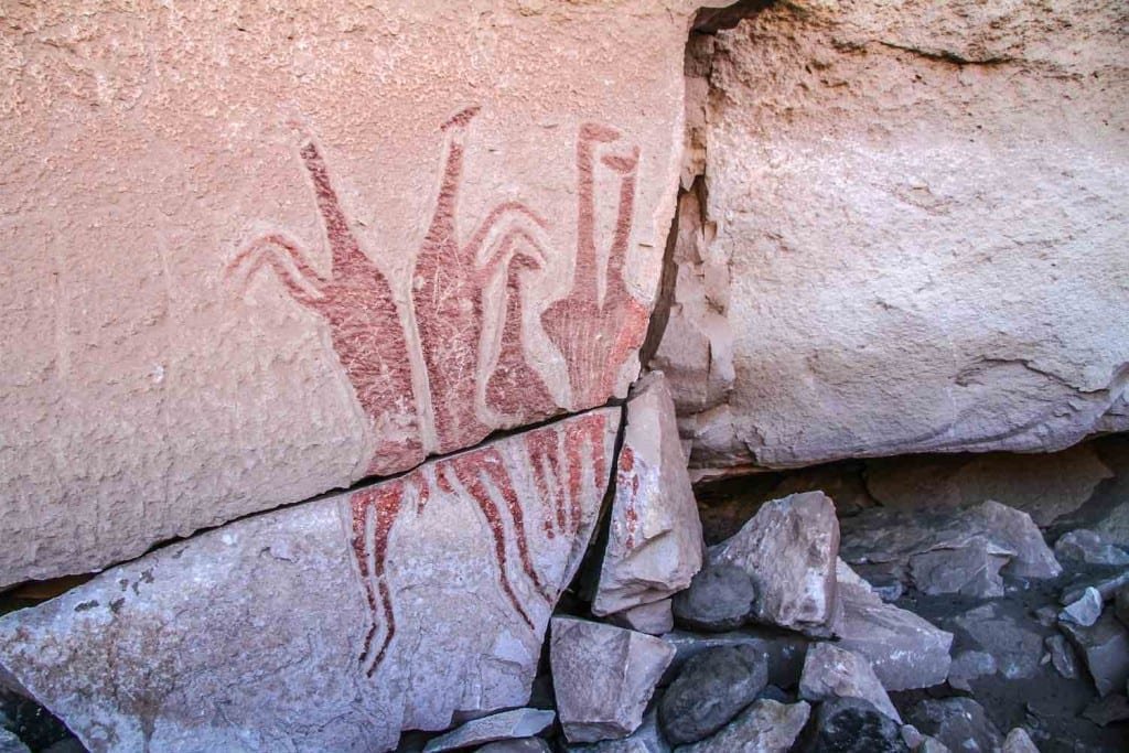 Atacama Desert Talabre Petroglyphs