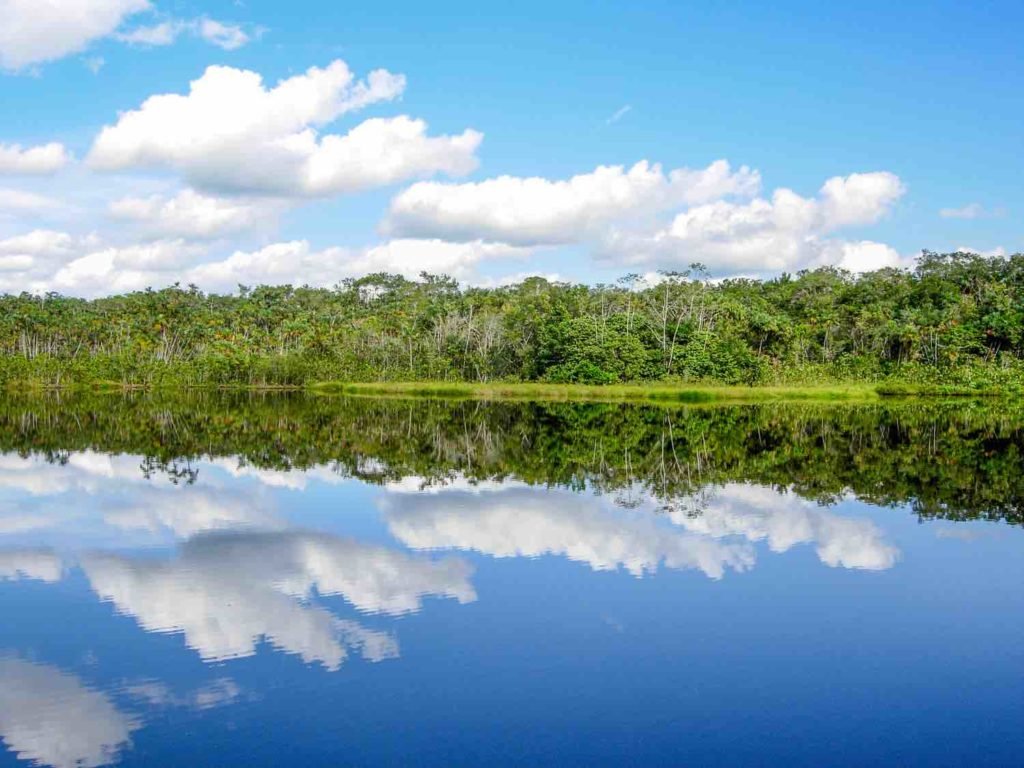 Ecuador Amazon | Landed Travel