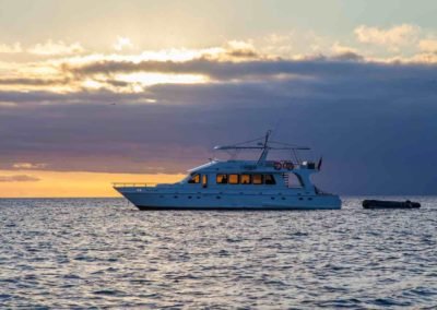 Galapagos travel Sea Lion Charter boat | Landed Travel